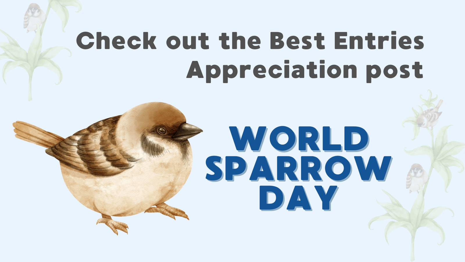 20th March 2024 World Sparrow Day HD Photos